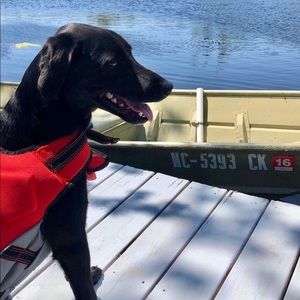 Meet your Posher, Tyler